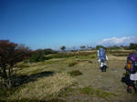 30f9775d.jpg