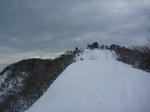 6786e439.jpg