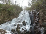 7740a1d9.jpg