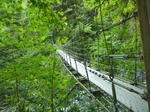 c89065aa.jpg