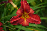 95ee948a.jpg