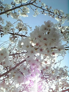 090407_142242.jpg