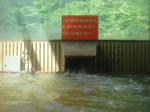 DSC06540.JPG