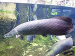 53df52d8.jpg