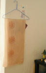 DSCN1874.JPG