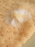 DSCN2298.JPG