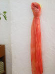 DSCN2563.JPG