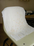 DSCN2811.JPG