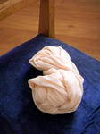 DSCN0306.JPG