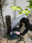 DSCN0340.JPG