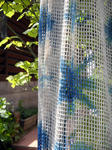 DSCN0365.JPG