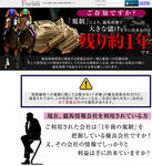 フォーラムのサイト