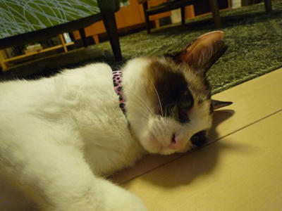 hime3