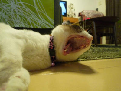 hime-2