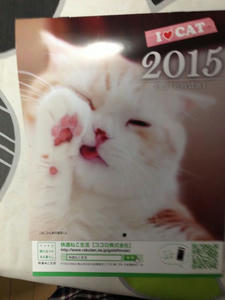 calendar6