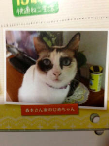 calendar8