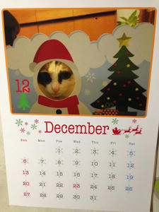calendar5