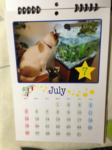 calendar4