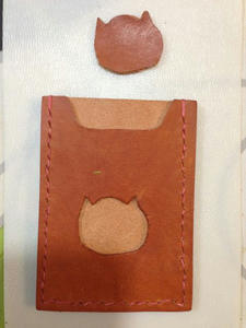 pass case1