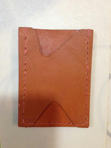 pass case2