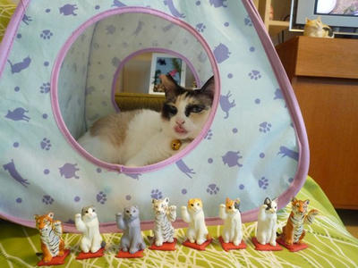 まねきねこ’Sとひめりん