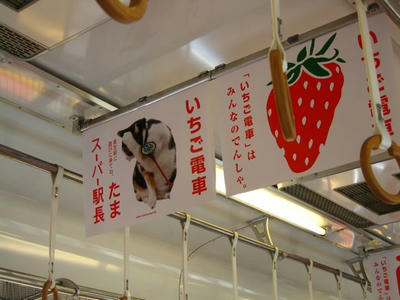 いちご電車つり広告２