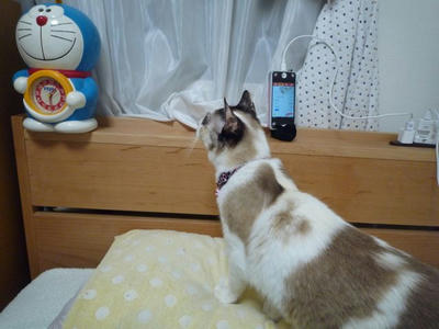 ごあいさつ１