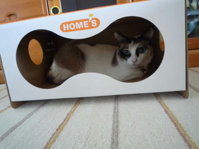 おこもり１