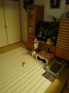hime