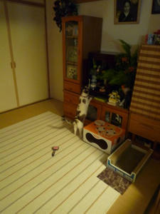 hime2