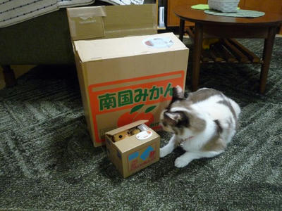 ひめといたずらBANK