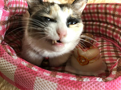 hime3