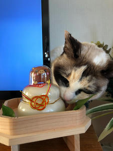 hime1
