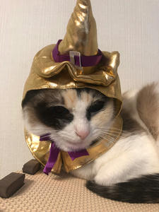 ハロウィンひめ