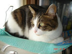 DSC00036_1280.jpg