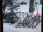 DSC00039_1280.jpg