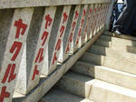 147a656d.JPG