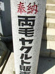 4904c027.JPG
