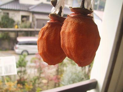 干し柿　１０日目