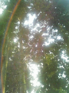 070823_174451.jpg