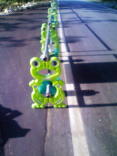 20080506164019.jpg