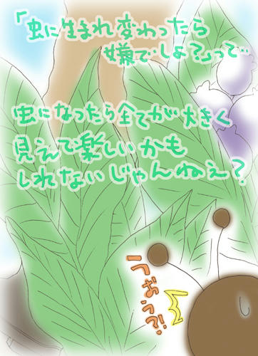 080515.jpg
