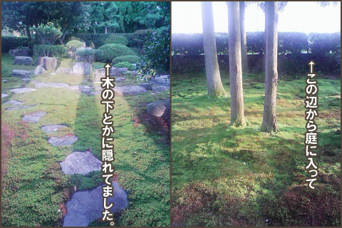 080824.jpg