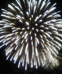 080831a.jpg