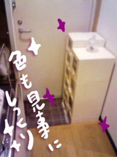 081030b.jpg