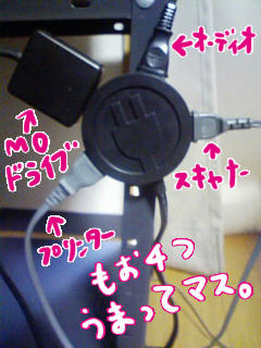 081112b.jpg