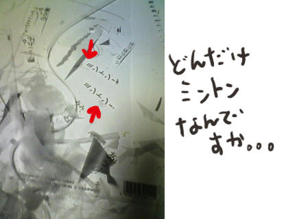 081208b.jpg