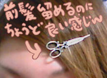 090129.jpg