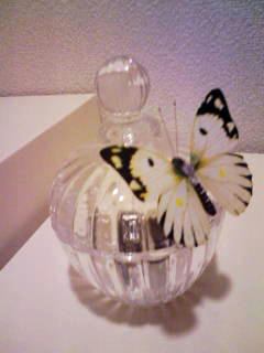 090226a.jpg