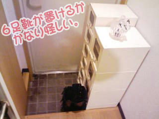 090227c.jpg